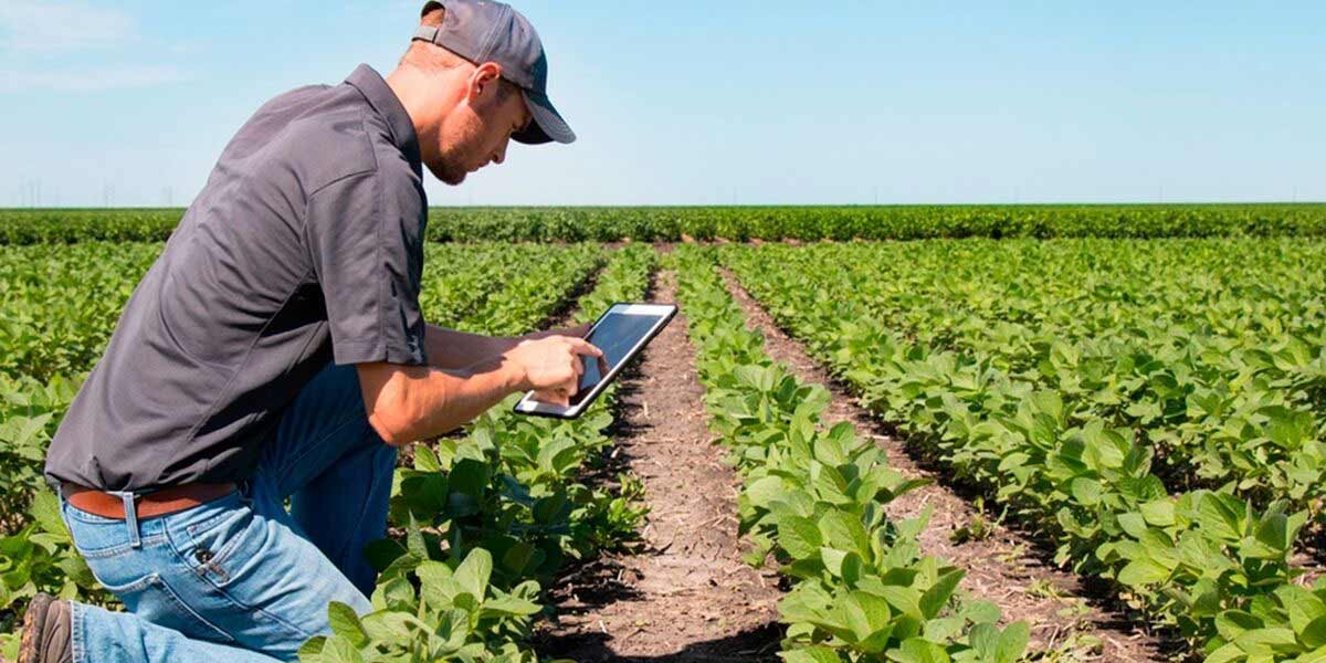 Cadena de producción hortofrutícola